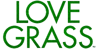 Love Grass